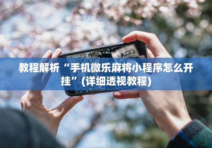 教程解析“手机微乐麻将小程序怎么开挂”(详细透视教程)