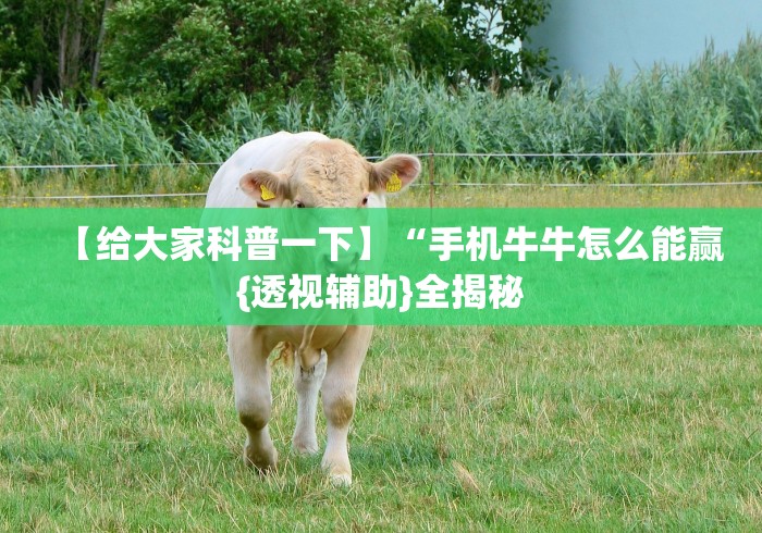 【给大家科普一下】“手机牛牛怎么能赢{透视辅助}全揭秘 【给大家科普一下】“手机牛牛怎么能赢{透视辅助}全揭秘