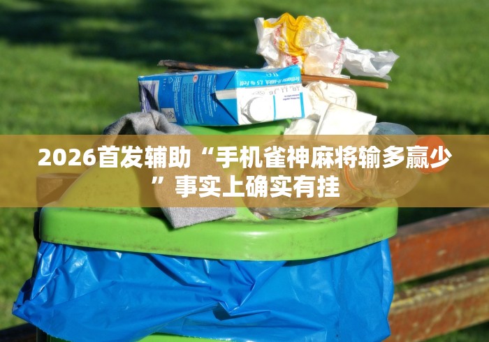 安装程序教程“来打麻将我钱好赢表情”确实可以使用辅助