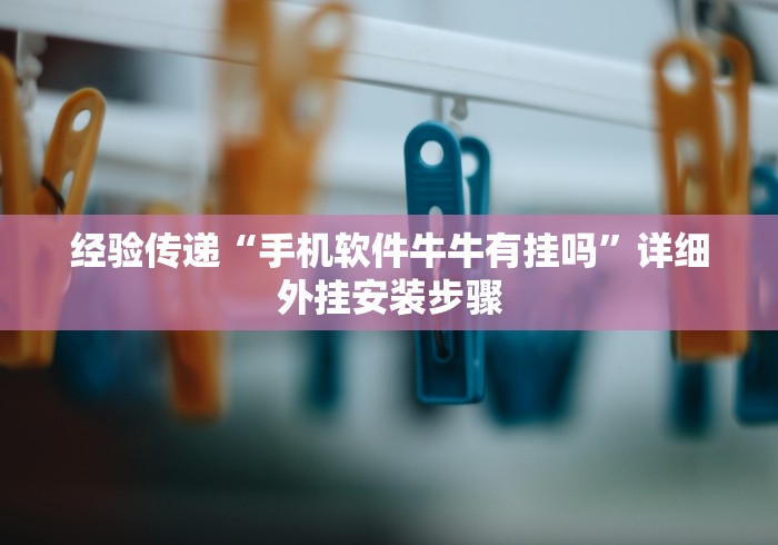 经验传递“手机软件牛牛有挂吗	”详细外挂安装步骤