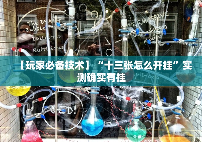 独家脚本实测“微乐打麻将怎么赢”(透视挂)最新辅助详细教程
