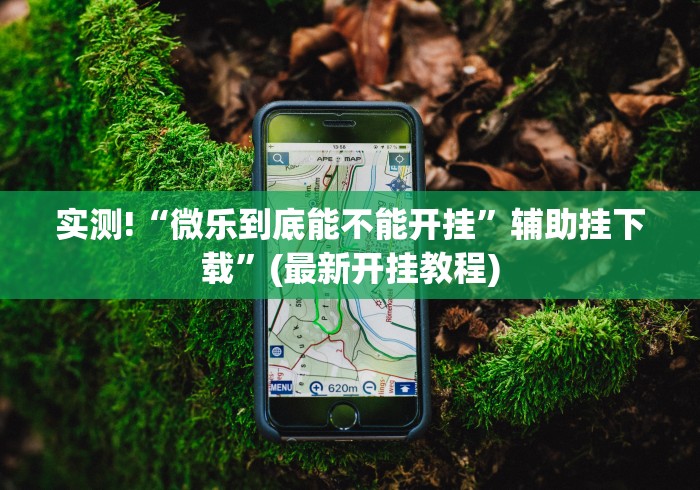 [教程经验]“微信微乐四川麻将免费挂(透视挂真的假的)