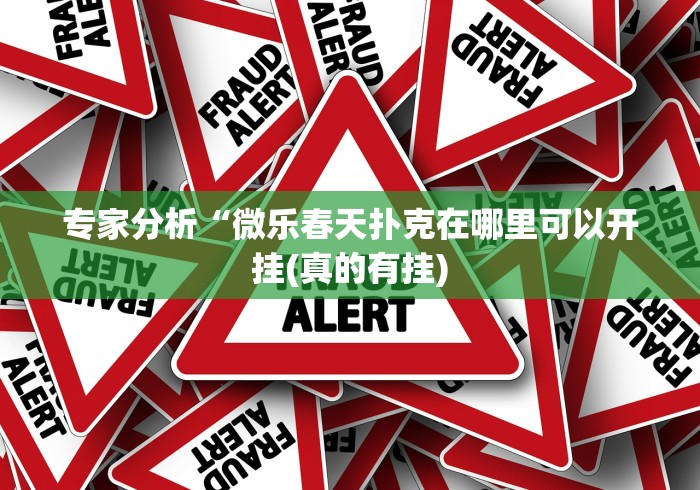 专家分析“微乐春天扑克在哪里可以开挂(真的有挂) 专家分析“微乐春天扑克在哪里可以开挂(真的有挂)