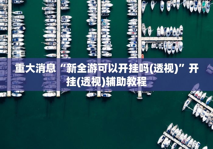 实测教程“宁波十三张有没有挂”开挂辅助脚本+详细开挂安装教程