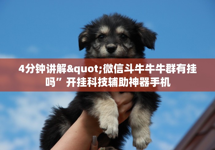 科技媒体实测“悟空大厅有没有挂三张”(确实是有挂)知乎