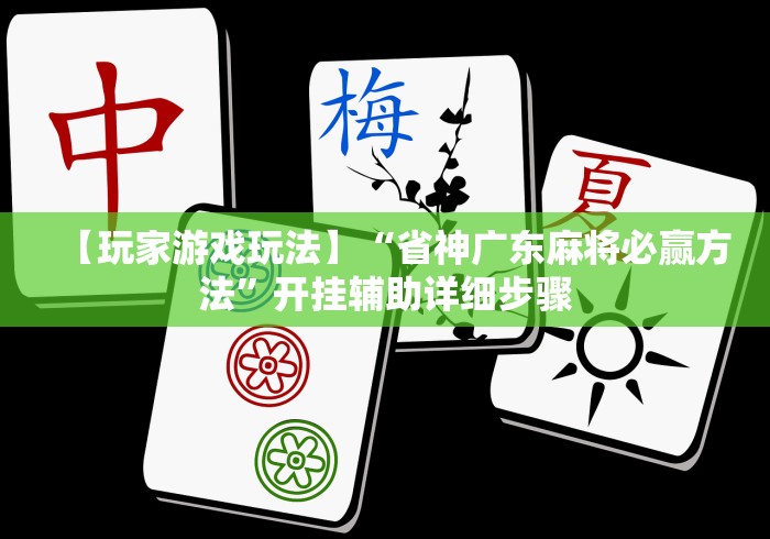【玩家游戏玩法】“省神广东麻将必赢方法”开挂辅助详细步骤