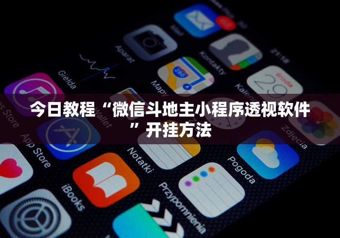 今日教程“微信斗地主小程序透视软件	”开挂方法