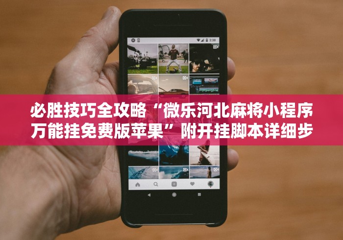辅助开挂教程“粤友会透视挂下载”开挂辅助详细步骤