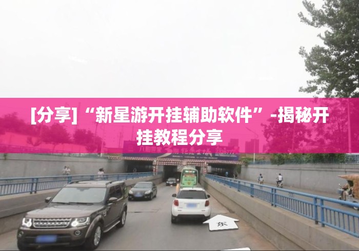 [分享]“新星游开挂辅助软件	”-揭秘开挂教程分享