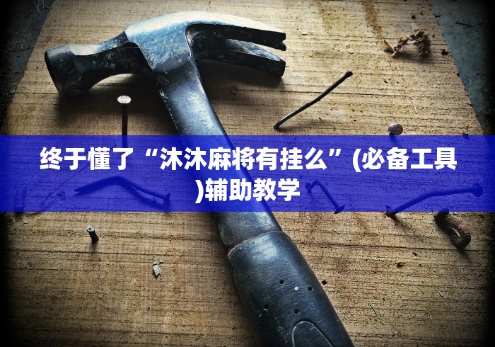 软件分享“忆游十三道如何开挂	”(原来确实是有插件) 