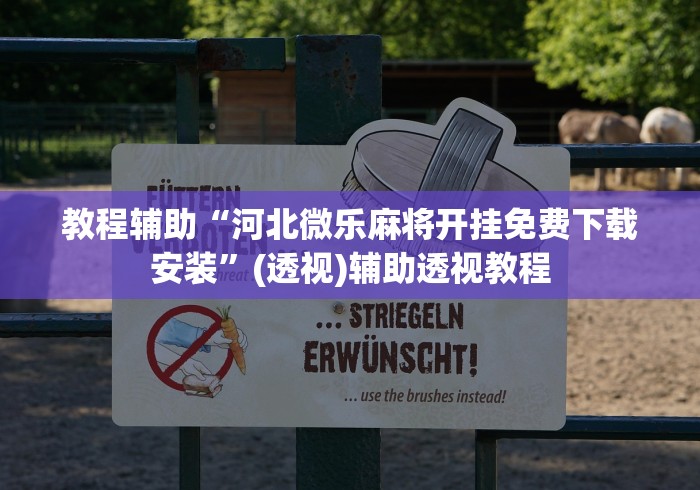 教程辅助“河北微乐麻将开挂免费下载安装”(透视)辅助透视教程