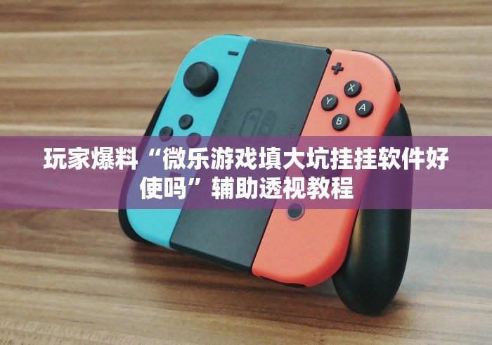 必看教程“微乐龙江麻将怎么下挂”-开挂神器-包教包会