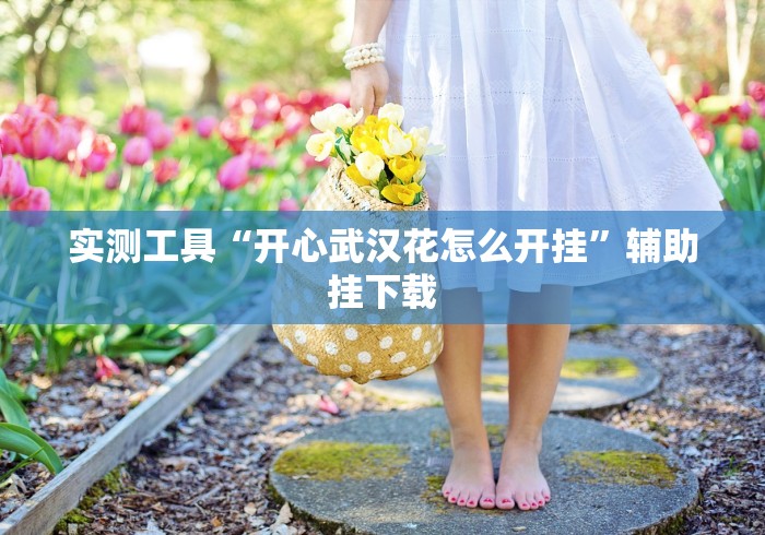 辅助挂机软件“欢乐碰胡作弊”辅助透视教程