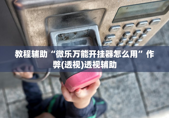 2026首发教程“微乐麻将小程序开挂视频”详细分享装挂