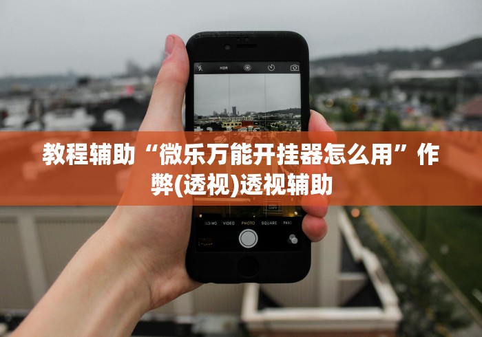 教程更新!:微乐宁夏捉麻子必赢神器”开挂详细教程