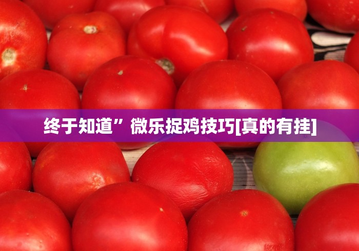独家解答“麻将挂先试用后付款曝光”开挂(透视)辅助