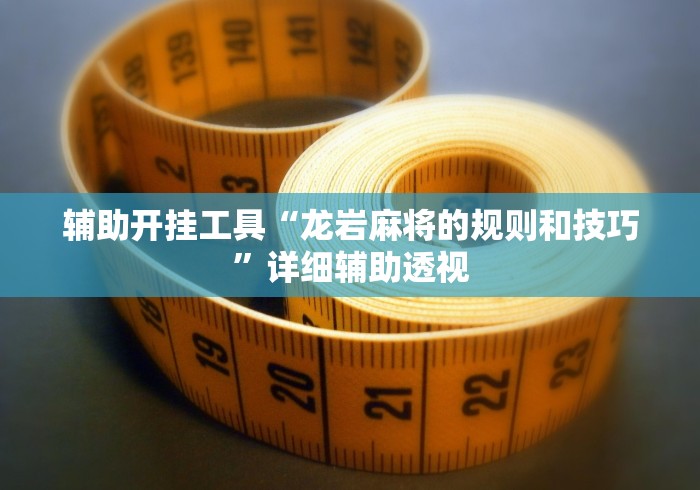 玩家辅助神器“369山东麻将可以开挂吗”揭秘透视辅助万能挂 