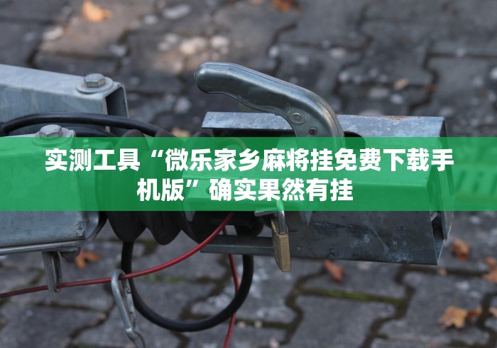 实测工具“微乐家乡麻将挂免费下载手机版”确实果然有挂 