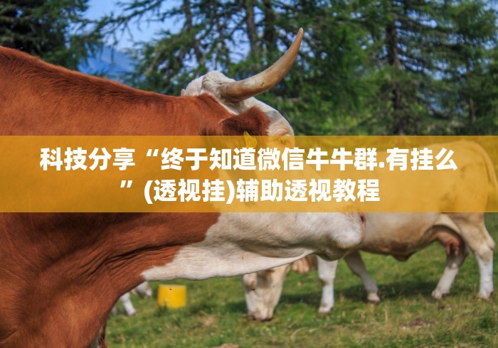 今日教程“app麻将技巧[确实真的有挂]