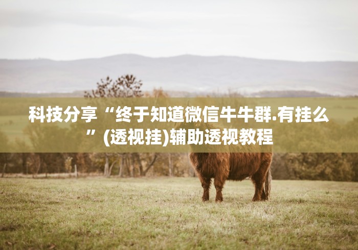 玩家必学攻略“四方麻将有赢牌规律吗	”开挂辅助软件教程