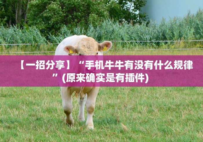 【一招分享】“手机牛牛有没有什么规律”(原来确实是有插件) 