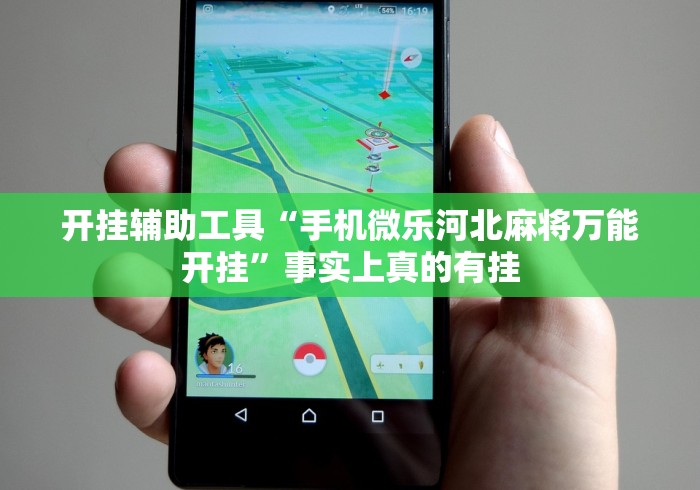 开挂辅助工具“手机微乐河北麻将万能开挂	”事实上真的有挂