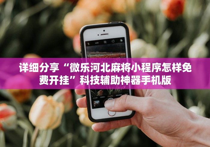 必看教程“微信功夫川麻辅助下载”-玩家曝光开挂流程