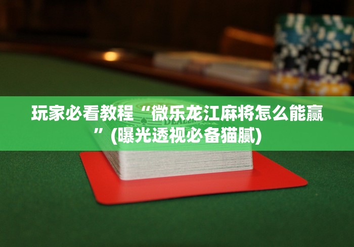 2026最新一代“台游记辅助器(免费)	”(确实是有挂)知乎