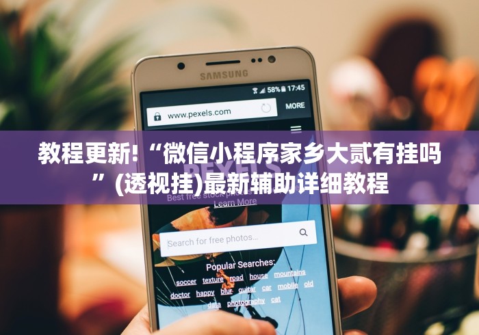 教程更新!“微信小程序家乡大贰有挂吗”(透视挂)最新辅助详细教程