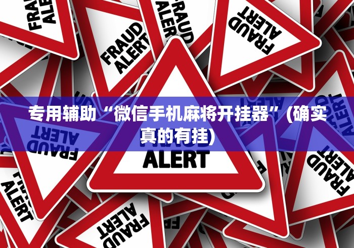 玩家辅助神器“天天卡五星挂先试用后付款”有挂详细开挂教程