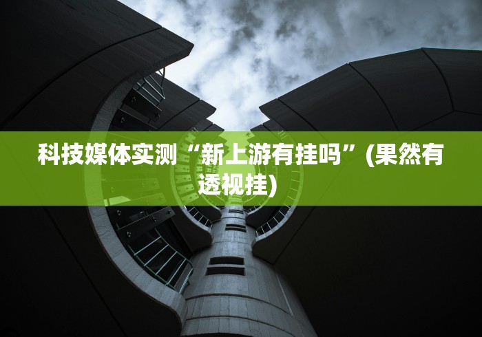 科技媒体实测“新上游有挂吗”(果然有透视挂) 
