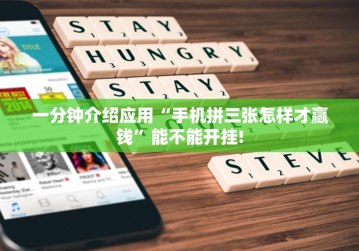 教程辅助“微乐填大坑有挂么”(必备工具)辅助教学