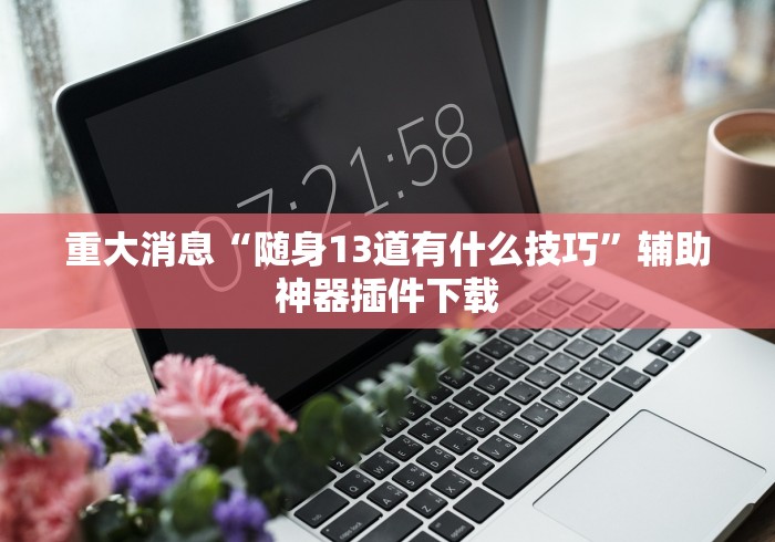重大消息“随身13道有什么技巧	”辅助神器插件下载