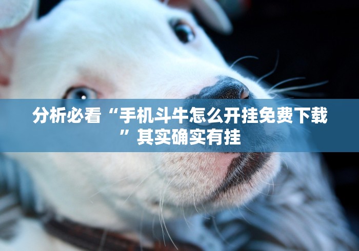 两分钟了解“朋友安徽麻将有挂吗”能不能开挂!