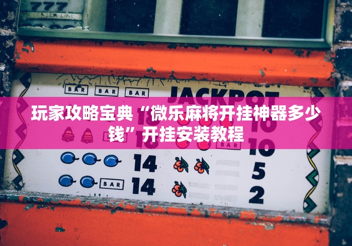 玩家攻略宝典“微乐麻将开挂神器多少钱”开挂安装教程