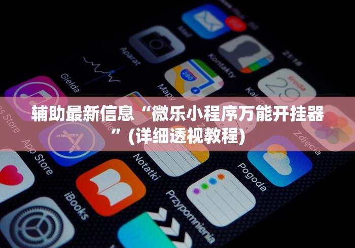 辅助最新信息“微乐小程序万能开挂器”(详细透视教程)