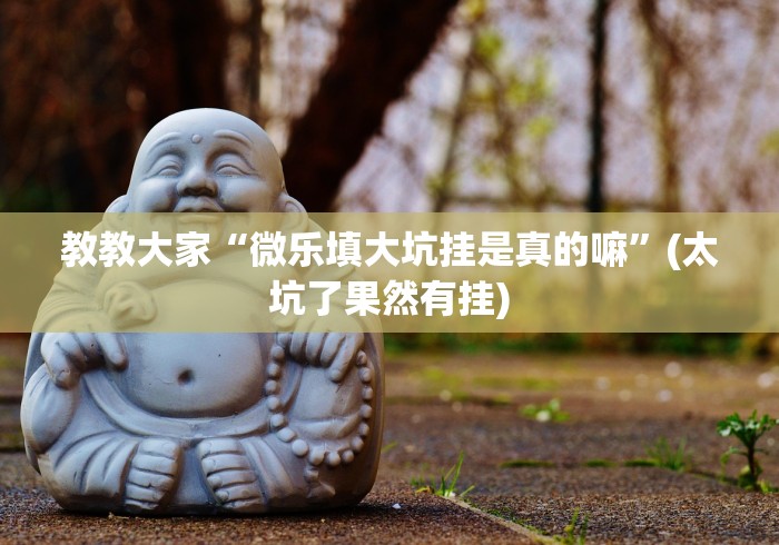 教教大家“微乐填大坑挂是真的嘛”(太坑了果然有挂)