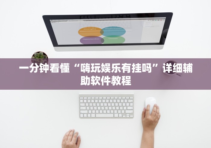 一分钟看懂“嗨玩娱乐有挂吗”详细辅助软件教程