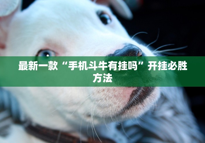 经验传递“天天爱麻将有没有挂{透视辅助}全揭秘 经验传递“天天爱麻将有没有挂{透视辅助}全揭秘