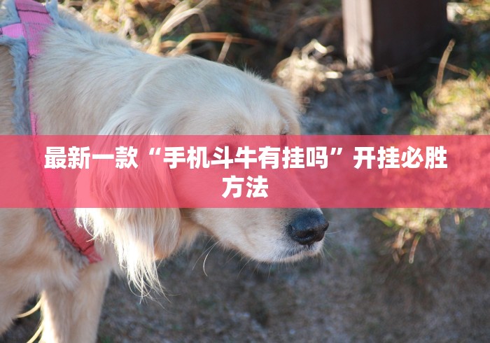 重大来袭“十三水怎么玩稳赢”（透视挂）辅助神器教程