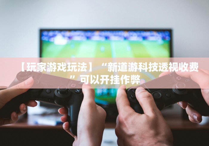 【玩家游戏玩法】“新道游科技透视收费”可以开挂作弊