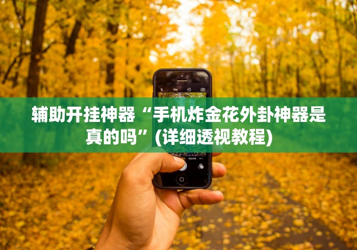 辅助开挂神器“手机炸金花外卦神器是真的吗	”(详细透视教程)