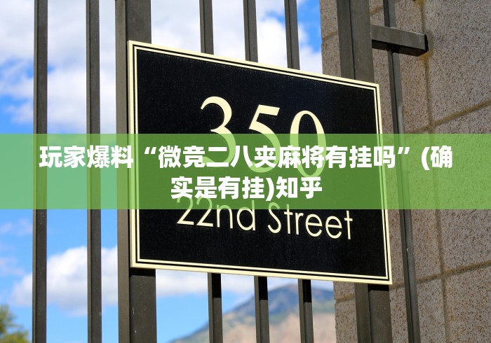 玩家爆料“微竞二八夹麻将有挂吗”(确实是有挂)知乎