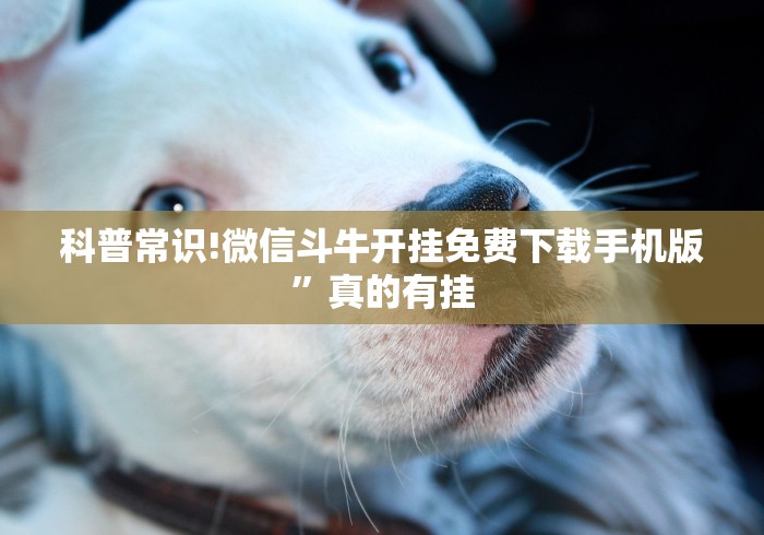 科普常识!微信斗牛开挂免费下载手机版”真的有挂