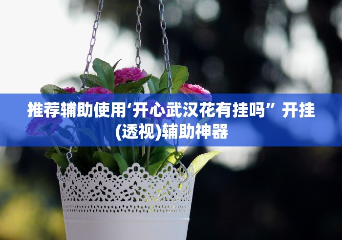 推荐辅助使用‘开心武汉花有挂吗	”开挂(透视)辅助神器