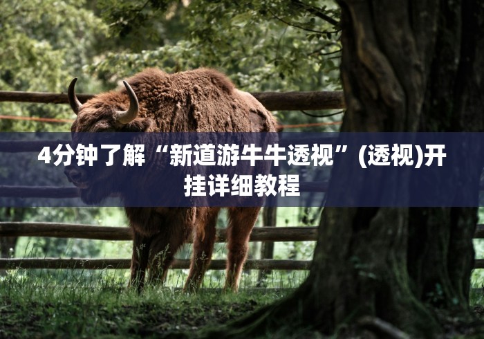 4分钟了解“新道游牛牛透视”(透视)开挂详细教程