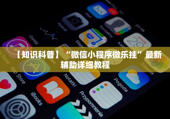 【知识科普】“微信小程序微乐挂”最新辅助详细教程