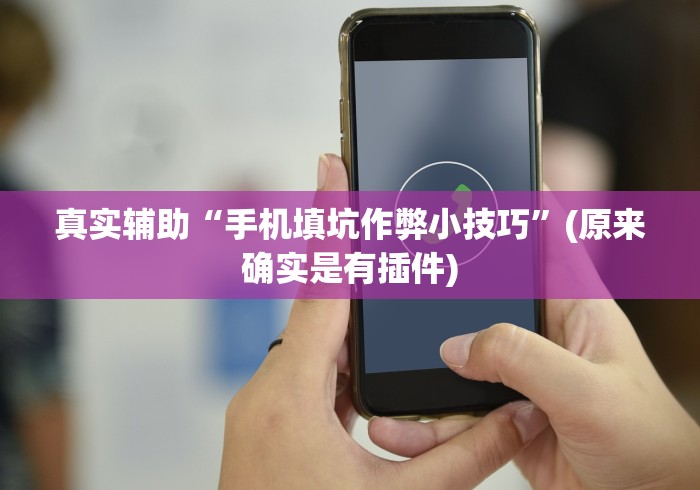 真实辅助“手机填坑作弊小技巧”(原来确实是有插件)