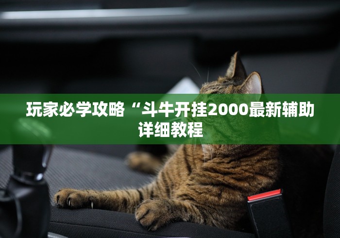 玩家必学攻略“斗牛开挂2000最新辅助详细教程 玩家必学攻略“斗牛开挂2000最新辅助详细教程