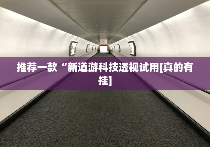 推荐一款“新道游科技透视试用[真的有挂]